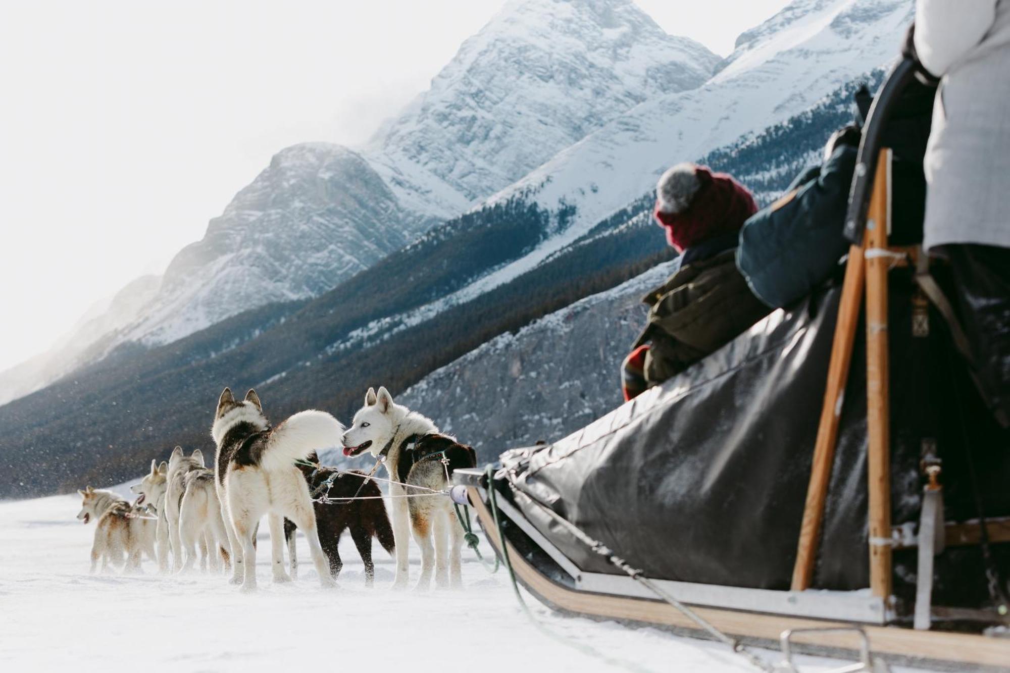 Special! New Downtown Mtn View Free Parking 2B&2B Canmore Exterior foto